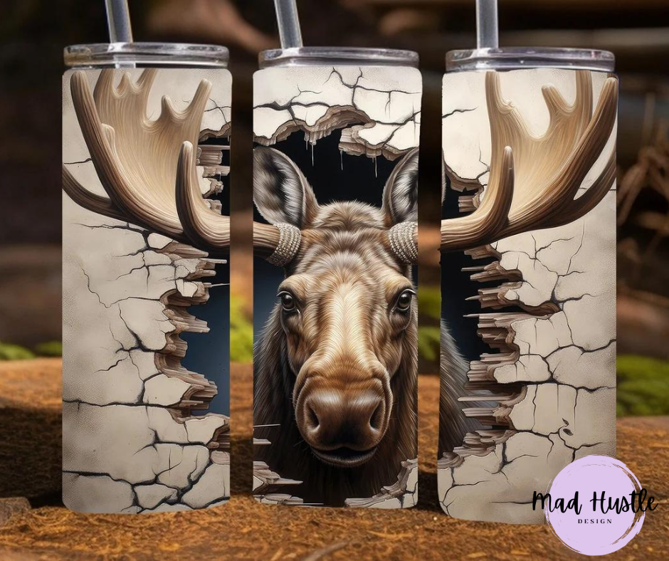 Moose Breaking Threw Wall