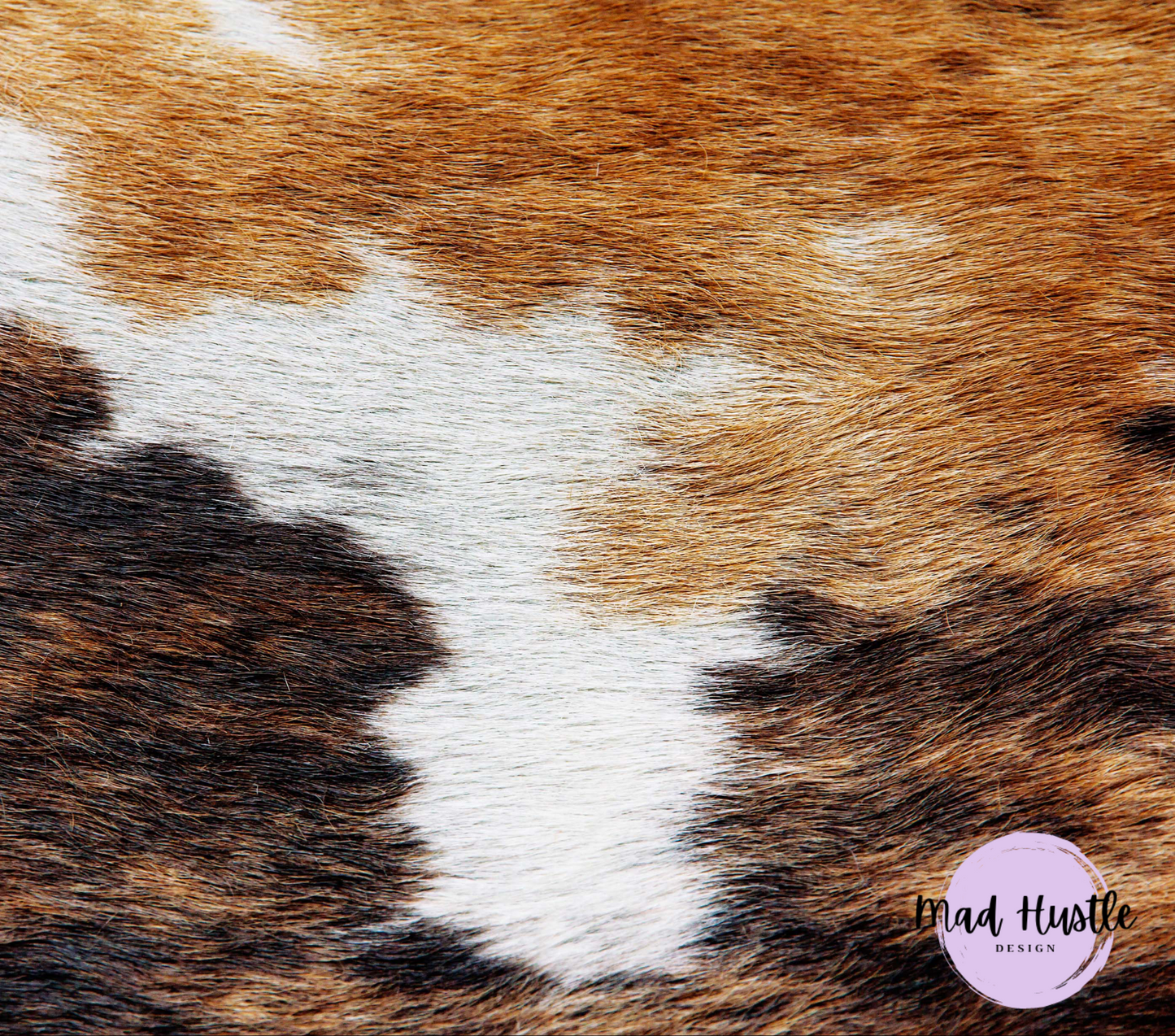 Cow Hide #2